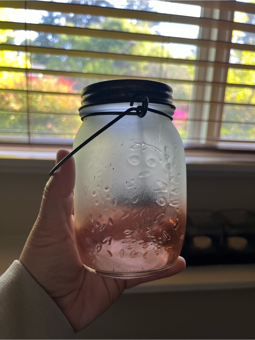 Frosted Glass Mason Jar Lantern with Wire Handle - Rose/CopperGradient